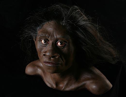Homo floresiensis, el Hobbit